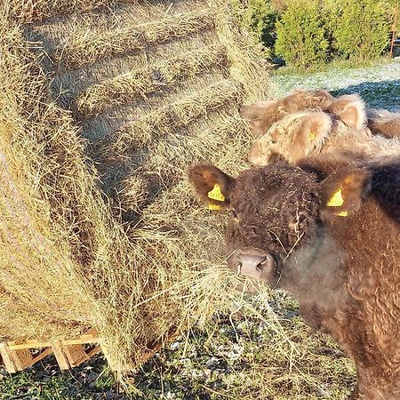 Ferienwohnung Auf Dem Land Dittersbach المظهر الخارجي الصورة