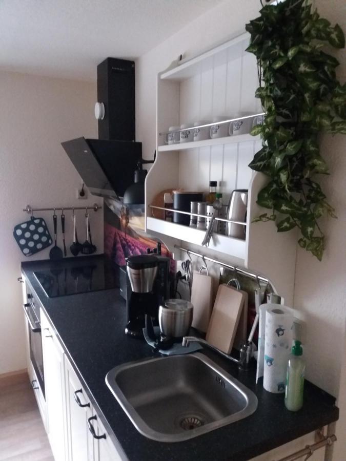 Ferienwohnung Auf Dem Land Dittersbach المظهر الخارجي الصورة