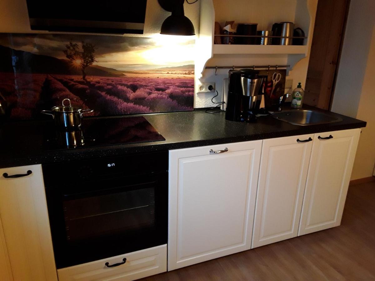 Ferienwohnung Auf Dem Land Dittersbach المظهر الخارجي الصورة